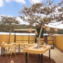 스테이 고대 이미지