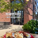 제주애견학교 | 제주 서귀포 | "카페 텐저린" 감성 브런치 맛집, 내돈내산후기, 애견동반가능카페