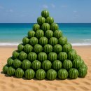 수박이네 이미지