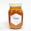 꿀 이미지