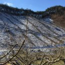 밤이농장 이미지