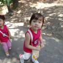 호평초등학교 이미지