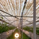 제삼농장 이미지