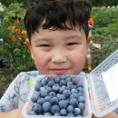 성보농장 이미지