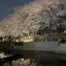 수다1교 네이버블로그
