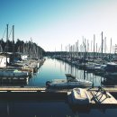 항구목장 이미지