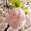 회수동-4 이미지