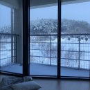 강선달힐링센터 | 고창 구시포해수욕장 펜션 @강선달힐링센터 (핵강추)