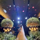 연은 결혼정보 이미지