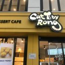 카페 바이 캣