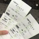 [2025년 상반기]서양화 | 2025 마무리