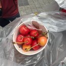 속초 가볼만한 곳 여행코스로 좋은 중앙시장 닭강정