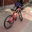 코렉스 자전거 이미지