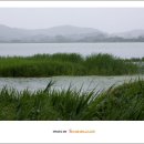 바다여인숙 이미지