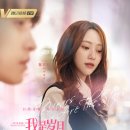 진의함 카카오 검색결과