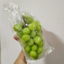 아빠청포도 | 추석선물 과일 추천_충북 옥천 아빠청포도 샤인머스켓 주문 리뷰