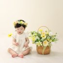 용인 스튜디오 촬영/로이레스튜디오/아기사진/돌 촬영 후기