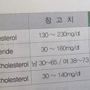 사파동240 이미지