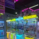 인형뽑기방 이미지