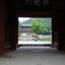 문화도기 Daum카페