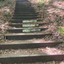 무등산 | [광주] 무등산 증심사 주변 식당 부곡정 연탄구이 삼겹 &amp; 파전 후기 (feat. 무등산 등산)