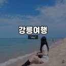 바다로 강릉 여행 코스 : 벌집 장칼국수, 멜트인, 두딩, 바로방, 경포 해변, 경포호 자전거 타기 추천...