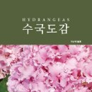 현대아트콤