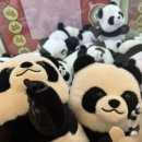 캐칭덕 오락실 이미지