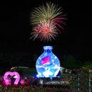 울산대공원 장미축제 이미지