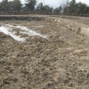 이천농업테마공원 공원부지 이미지