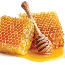 조은소리보청기서울지사 이미지