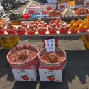 고성오조로 이미지