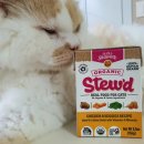 (주)피앤비 인터내셔널 이미지