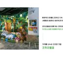 주식회사 코끼리별꽃