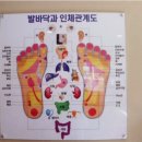 차이한 이미지