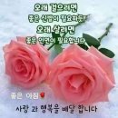 인격~사람의 됨됨이 이미지