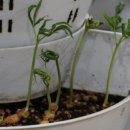 승현2농장 이미지