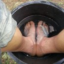 냉수농장 이미지