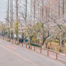 로아인터네셔널 | 인천공항 택시 콜밴 통합콜센터 카카오 예약 왕복 후기