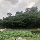 지영이네 생선가게 이미지