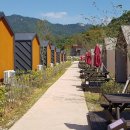 에코야영장 이미지