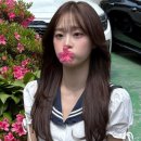 츄 카카오 검색결과