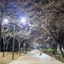 율하근린공원 이미지