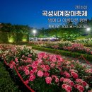 곡성문화체육관 | 💐2026 곡성 세계 장미 축제 : 야간 방문 후기 &amp; 🚘주차장 18곳 완벽 분석! 평일·주말·야간 시간대별...