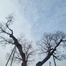 훈술 Daum카페