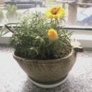 만남-행복한꿈 이미지