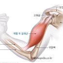 이두메디칼 네이버블로그
