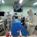 내성동물병원 이미지