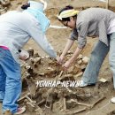 고은3리 이미지