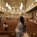 썬라이즈 민박 | 여자혼자 동유럽 여행 3일차 :: 부다페스트에서 빈으로, 이비스, 빈 미술사 박물관, 슈니첼 맛집...